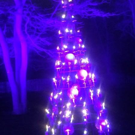 Migration between the UK & The EU after Brexit: The Political Declaration