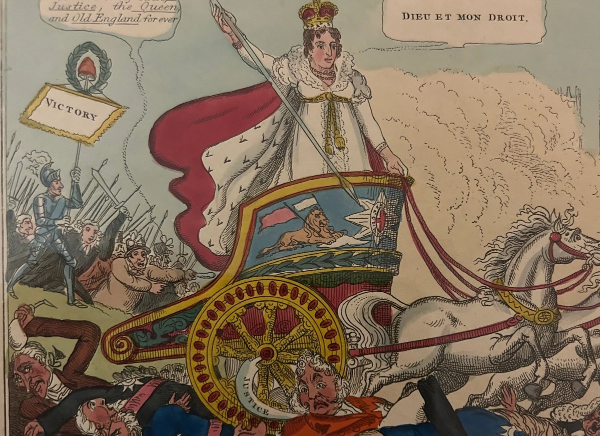 The Illegal Migration Bill: Lessons from Privy Council Commonwealth ...